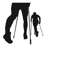 logo nordicwalking